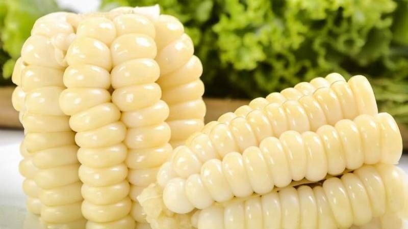 CHOCLO EN TROZOS 🇵🇪 AMERICA 500g